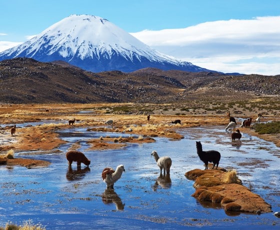 Découvre la Patagonie pendant ton stage en Amérique Latine !