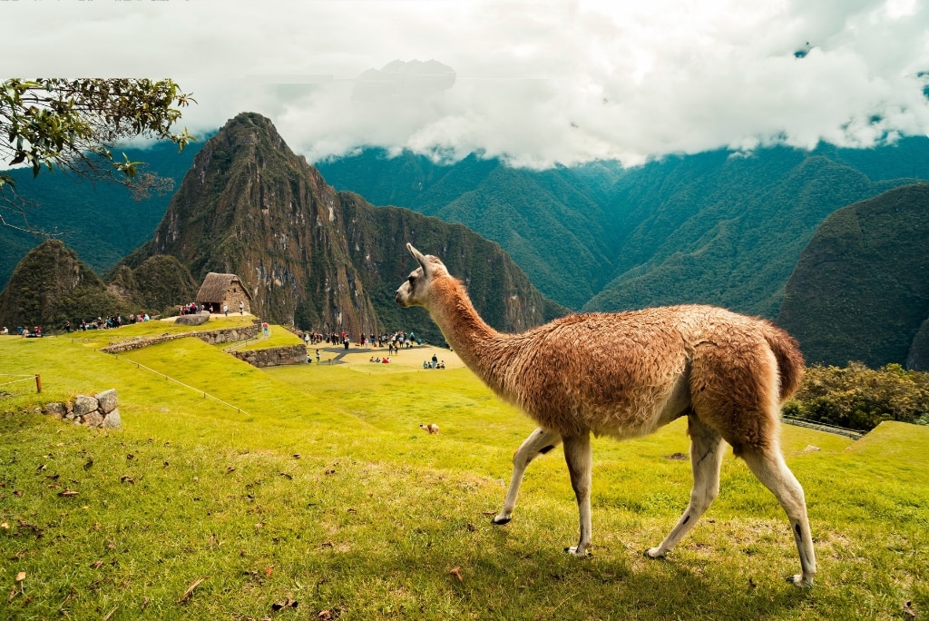 Top des expériences à vivre durant ton stage au Pérou !