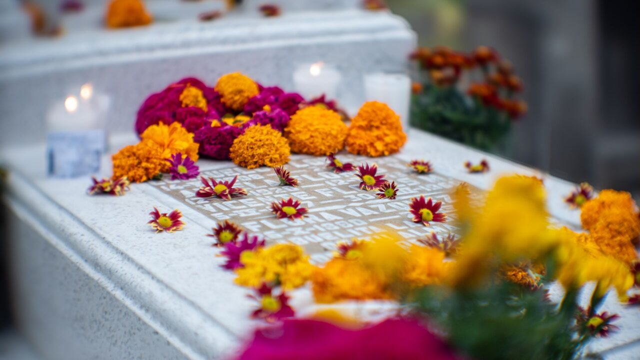Día de Muertos 2026 à Mexico : le guide du stagiaire (défilé, ofrendas)